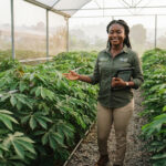 Portrait of a young female agritech founder standing in a lush green cassava greenhouse in Kumasi Ghana